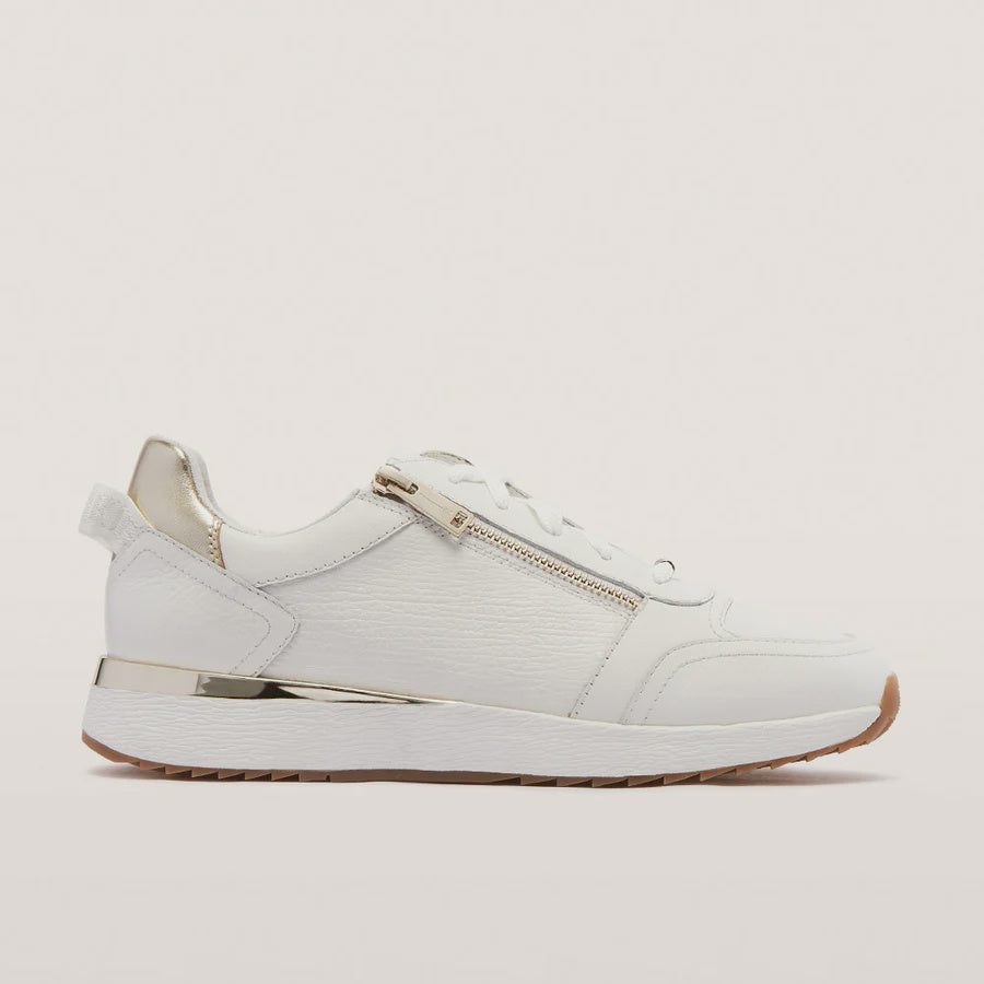 Frankie4 Brooklyn III - White Gold