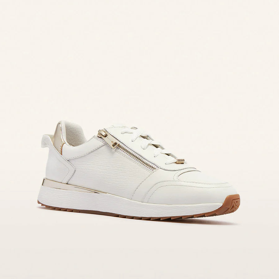 Frankie4 Brooklyn III - White Gold