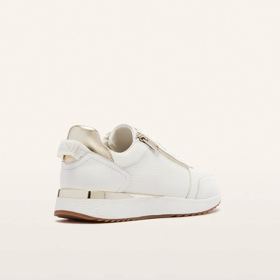 Frankie4 Brooklyn III - White Gold