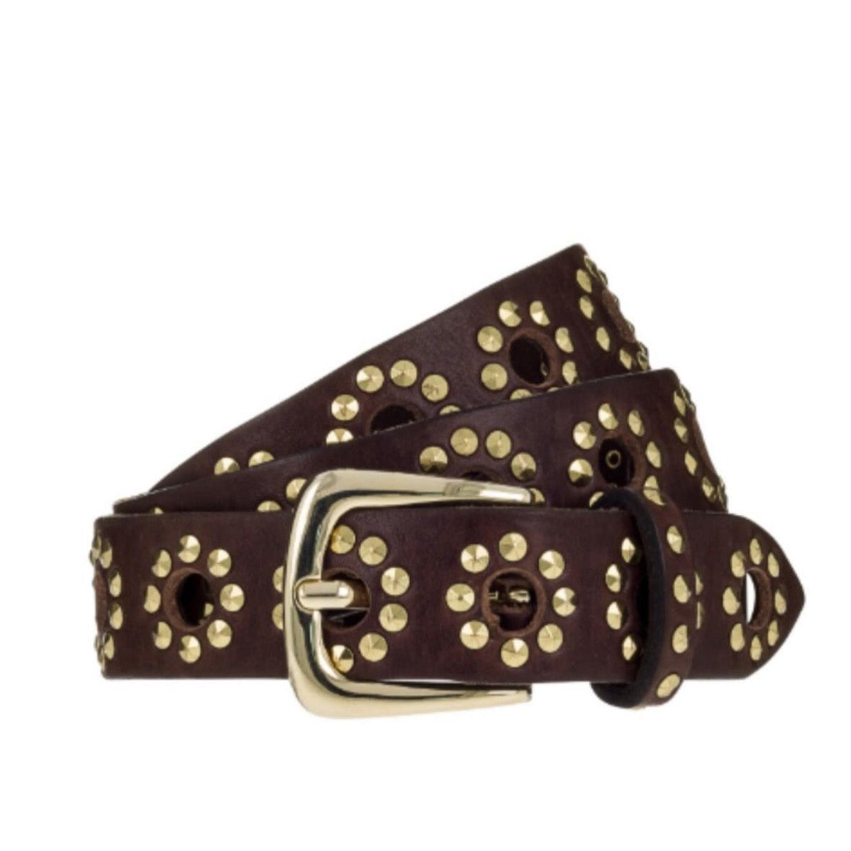 BBelt Diana - Gold Dark Brown BBelt Pisces Boutique