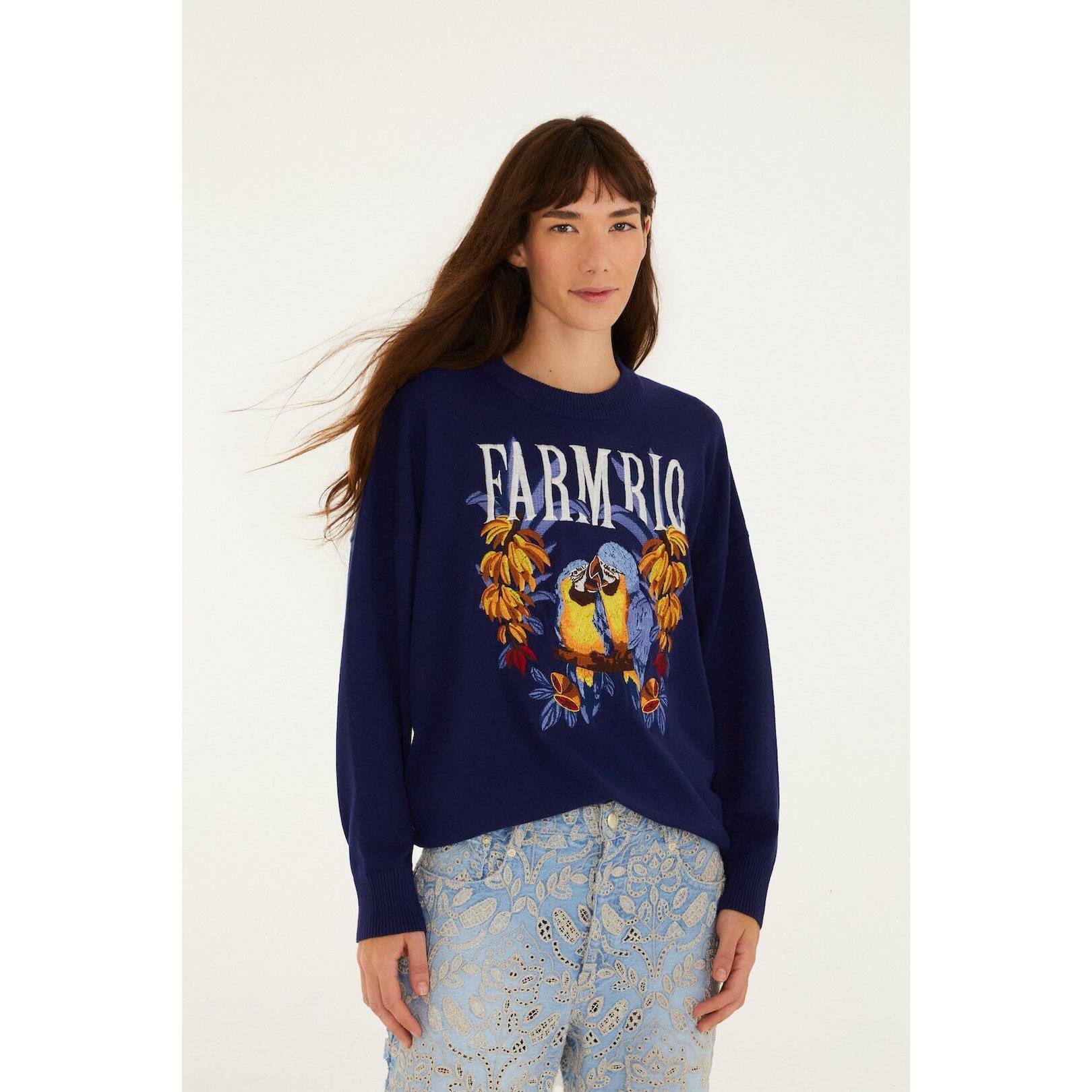 Farm Rio Love Birds Embroidery Sweater - Blue  Farm Rio Pisces Boutique