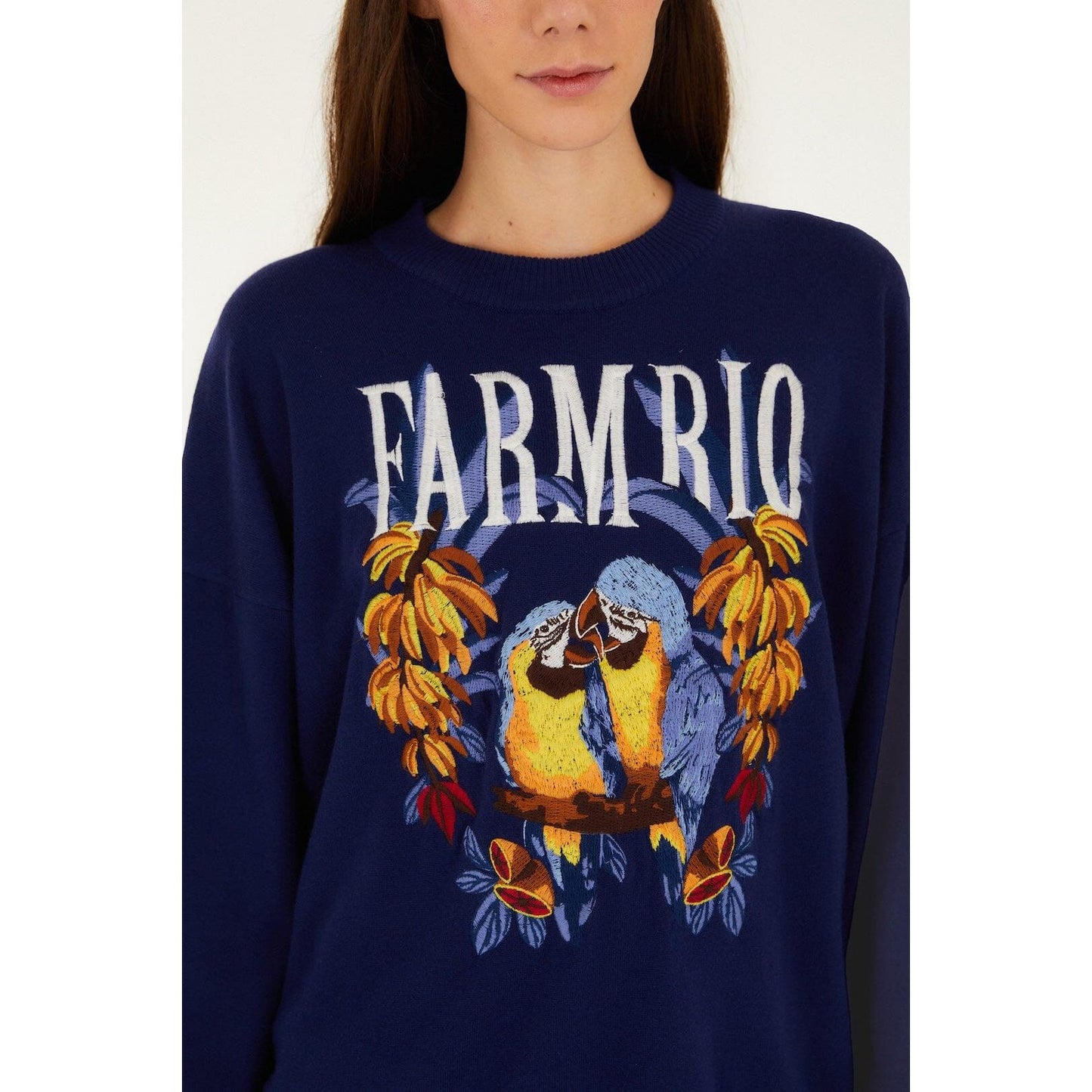 Farm Rio Love Birds Embroidery Sweater - Blue  Farm Rio Pisces Boutique