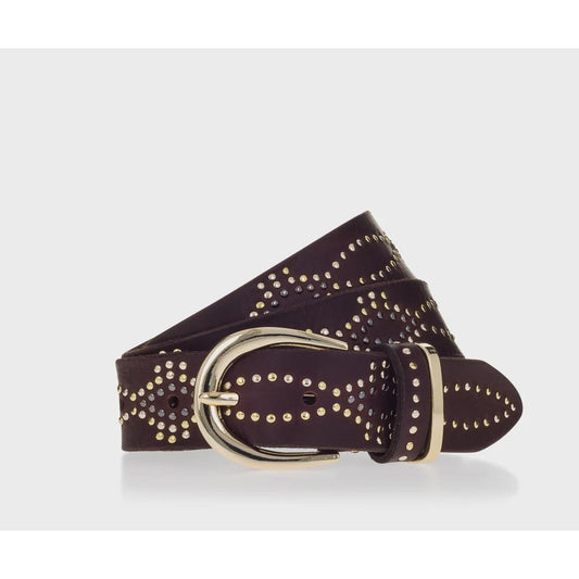 BBelt Melinda Gold - Dark Brown  BBelt Pisces Boutique